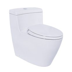 Bồn cầu TOTO MS636DT2#XW