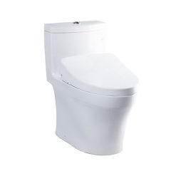 Bồn cầu điện tử TOTO MS889CDRW12