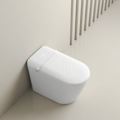 Bồn cầu điện tử thông minh Nofox DT6801