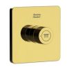 Nút Điều Chỉnh Đầu Sen Màu Vàng American Standard FFAS0926CS EasySET