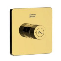 Nút Điều Chỉnh Tay Sen Màu Vàng American Standard FFAS0925CS