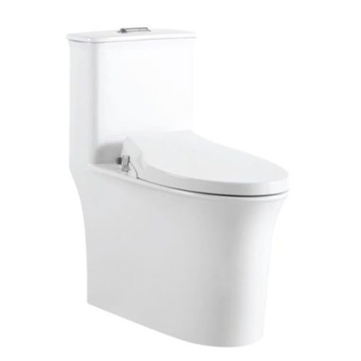 Bồn cầu nắp rửa cơ Royal RA-6622T RA-001