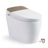 Bồn cầu nắp rửa điện tử Royal RA612