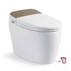 Bồn cầu nắp rửa điện tử Royal RA612