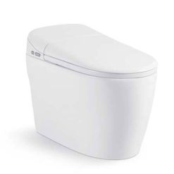 Bồn cầu nắp rửa điện tử Royal RA613