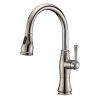 Vòi rửa bát Riba 005