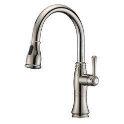 Vòi rửa bát Riba 005