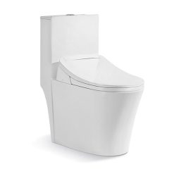 Bồn cầu điện tử Riba RB-2893A