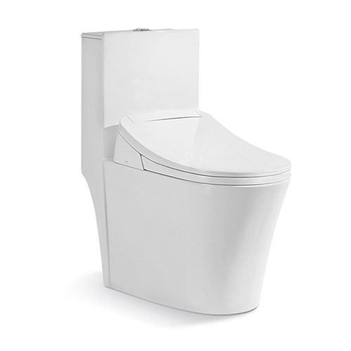 Bồn cầu điện tử Riba RB-2893A