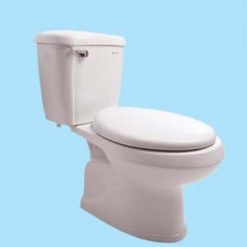 Bồn cầu Thiên Thanh Ruby B0707TGTT