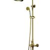 Sen cây tắm mạ vàng AMTS 6110