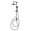 Sen cây tắm nóng lạnh màu đen COTTO CT623Z94Z10D#BL