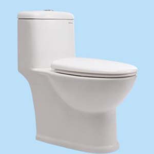 Bồn cầu Thiên Thanh Sky K6530HS2T