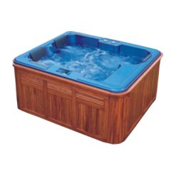Bồn tắm spa Massage Govern SPA-001
