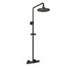 Sen cây nóng lạnh dòng G kèm vòi xả bồn TOTO TBW01301AB#MBL