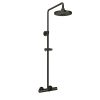 Sen cây nhiệt độ dòng G kèm vòi xả bồn TOTO TBW01401AA#MBL