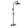 Sen cây tắm nhiệt độ màu đen mờ TOTO TBW01402AA#MBL