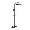 Sen cây tắm nhiệt độ màu đen mờ TOTO TBW07402A#MBL