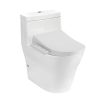 Toto CW166RB-TCF33320GAA-T53P100VR