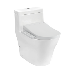 Toto CW166RB-TCF33320GAA-T53P100VR