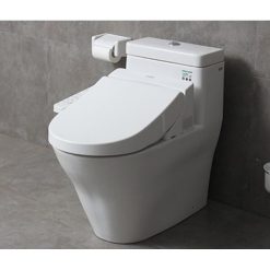 Bồn cầu nắp rửa điện tử TOTO CW166RB-TCF6632A