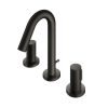 Vòi xả bồn tắm, chậu rửa mặt 3 lỗ màu đen Toto TLG11201B#MBL
