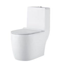 Bồn cầu liền khối Bancoot TS52