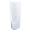 Bồn tiểu nam TOTO USWN900AE#XW