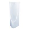 Bồn tiểu nam TOTO USWN900AS-XW