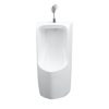 Bồn tiểu nam TOTO UT570T