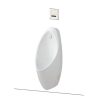 Bồn tiểu nam TOTO UT904HN