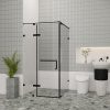 Vách kính nhà tắm Flight FLN-G3 Black