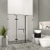 Vách kính nhà tắm Flight FLN-P3 Black