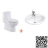 Combo Thiết bị vệ sinh American VF1858-VF0476