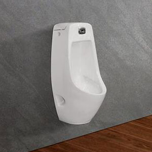 Tiểu nam đứng Viglacera T10