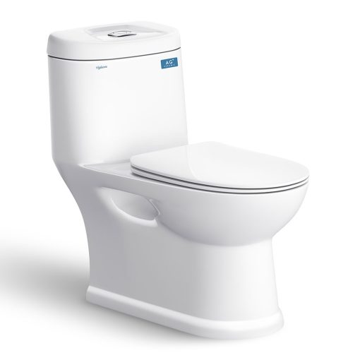 Bồn cầu 1 khối Nano Titan Viglacera C109 (Dài 71cm)