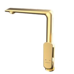 Vòi rửa bát Viglacera Platinum P.55.357