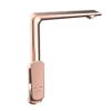 Vòi rửa bát Viglacera Platinum P.55.358