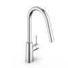 Vòi rửa bát dây rút American Standard 1009160000