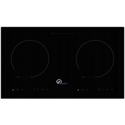 Bếp từ Washi WK 206I