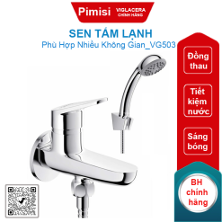 Sen tắm lạnh Viglacera VG503 đồng thau sáng bóng
