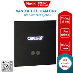 Van xả tiểu cảm ứng Caesar A654 âm tường cho tiểu nam
