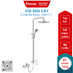 Vòi sen cây Viglacera VG511.1 hai chế độ nước
