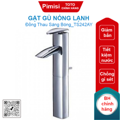 Gật gù nóng lạnh TOTO TS242AY cổ cao