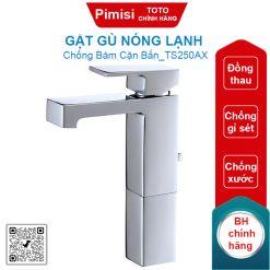 Gật gù nóng lạnh TOTO TS250AX cổ cao