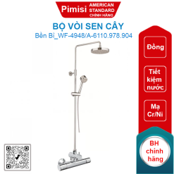 Bộ vòi sen cây American Standard WF-4948/A-6110.978.904 (D200) (TL)
