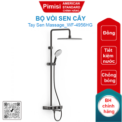Bộ vòi sen cây American Standard WF-4956HG (WF4956HG) màu xám đen