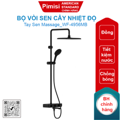 Bộ vòi sen cây American Standard WF-4956MB (WF4956MB) nhiệt độ EasySET đen