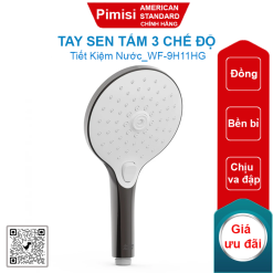 Tay sen tắm American Standard WF-9H11HG (WF9H11HG) 3 chế độ màu xám đen