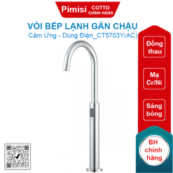Vòi bếp lạnh Cotto CT5703Y(AC) gắn chậu thân cao 220V